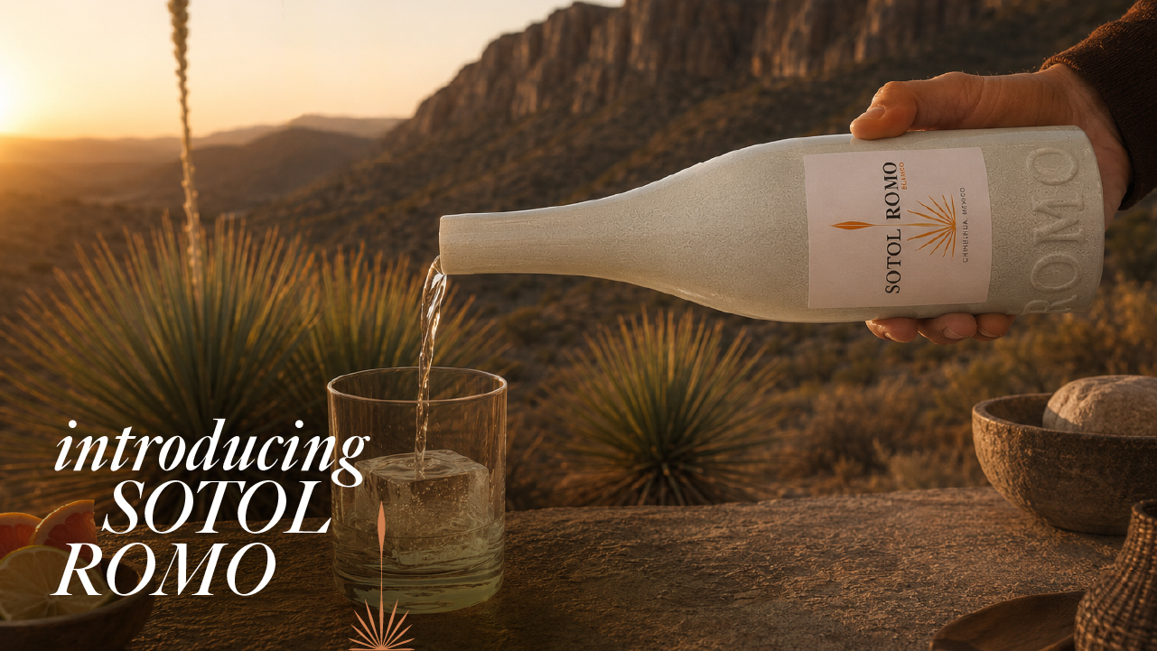 Introducing Sotol Romo